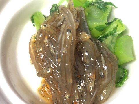 失敗知らず！生シラスの沖漬け